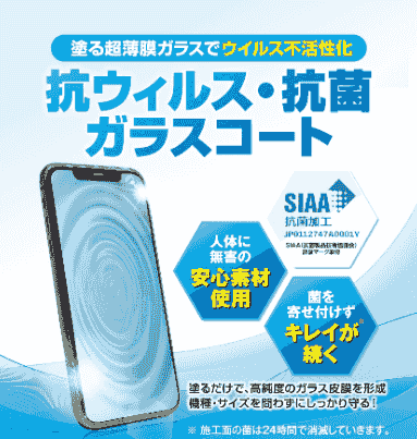 ピカプロDX