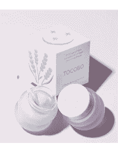 LIP MASK TOCOBO LAVANDA 
