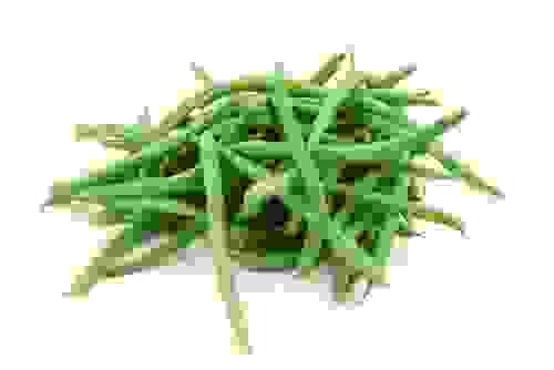 green bean