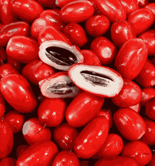 miracle fruit