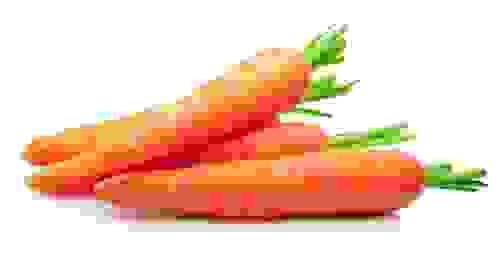 carrot