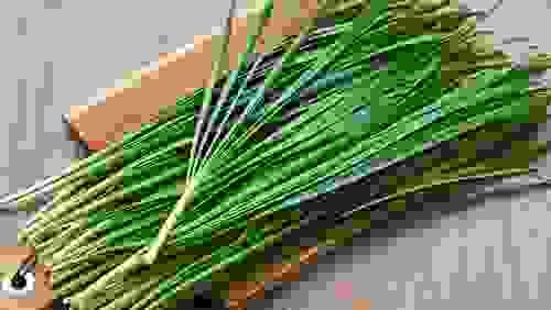 chives