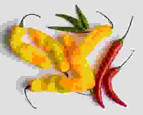 chili pepper