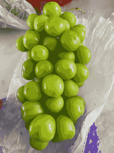 sunshine rose grape