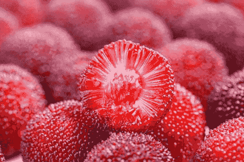 Chinese bayberry
