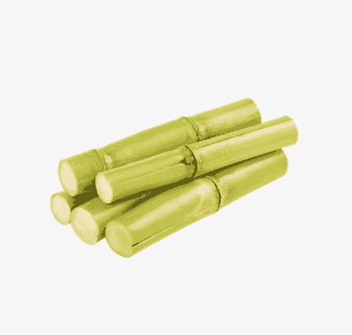 sugar cane