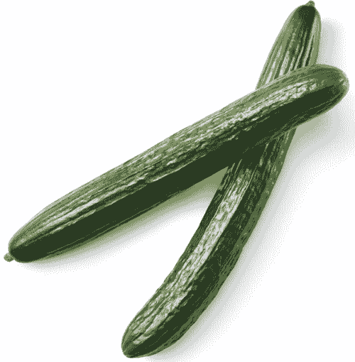 cucumber