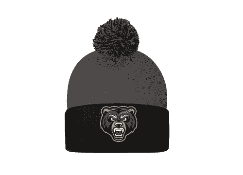 Pom-Pom Knit Toque