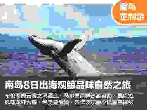 【新西兰南岛8日出海观鲸品味自然之旅】美食与美景结合的完美之旅