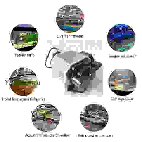 12V & 24V DC High Pressure Air Pump Manufacturer | Portable Air Compressor for Aquaculture 1
