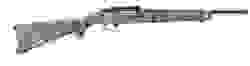 Ruger 10/22