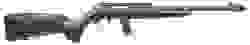 Rock Island Armory TM22 Standard