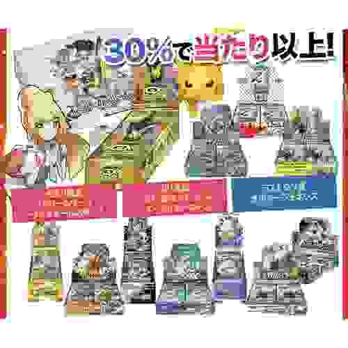 ポケモンカード BOX オリパ 未開封シュリンク付き 全300口 
