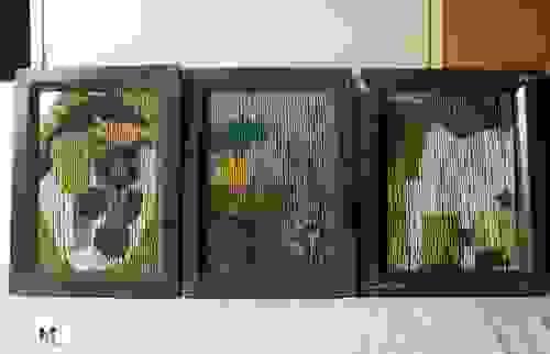 Framed Art portraits