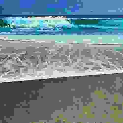 'Cornish Break'