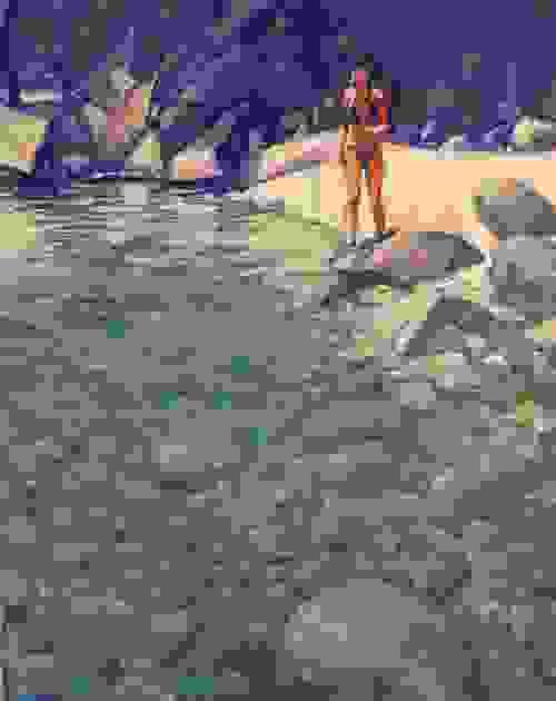 'The Shell Collector'