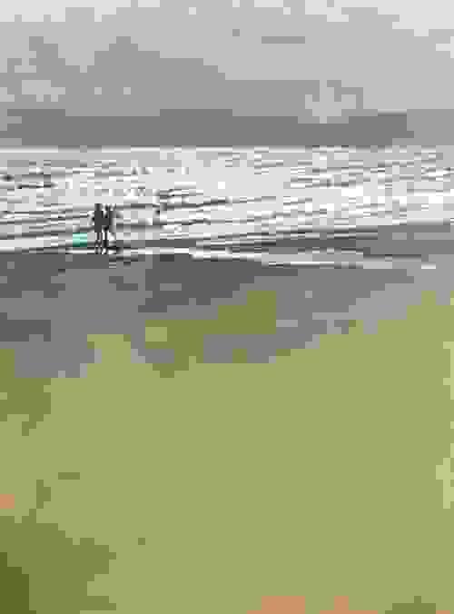 'Blustery Sun Shimmer, Branksome