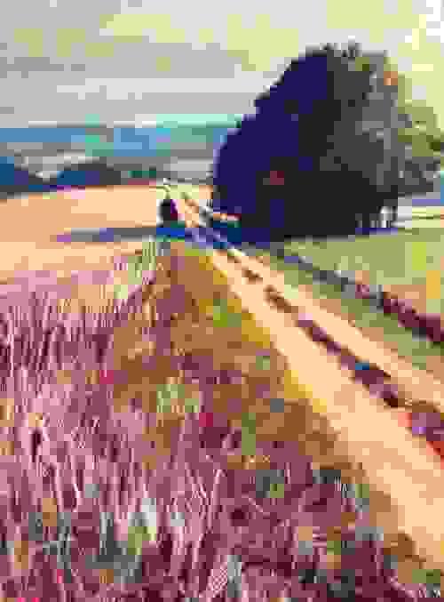 'Morning Shadows, East Dean'