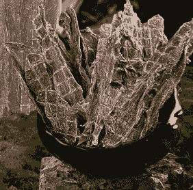 GDL7617**寵物鴨肉干