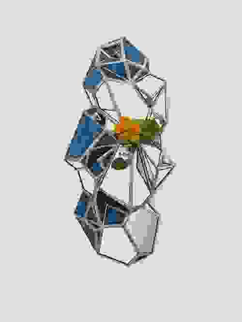 Phyto
