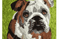 Pet Portraits Fabric Collage with Jane Haworth - Thursday, November 5, 2026