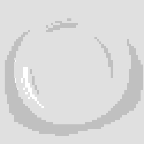 10 Inch B2B Wholesale Compostable Sugarcane Pulp Round Plates | FDA & ASTM Compliant | NY In-Stock