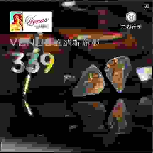 [NiSO Audio] Venus 339 Limited Edition + Van Gogh Upgrade Cable / HeTian PRO Connection Cable