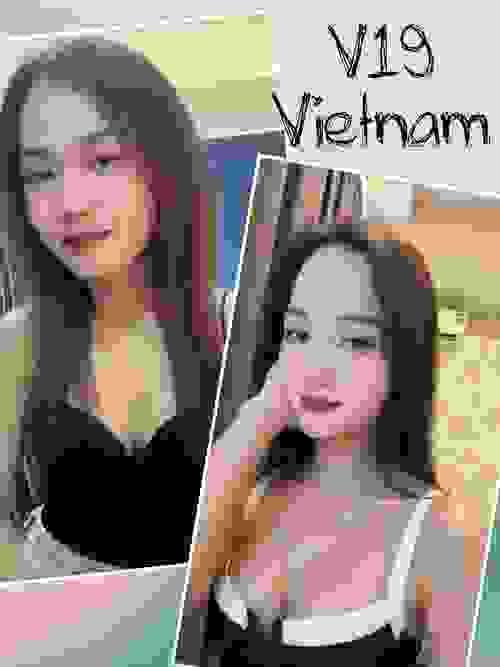 ✿V19✿