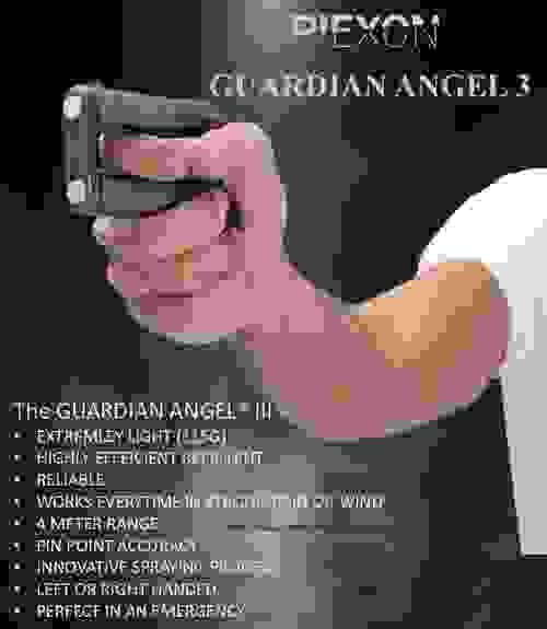 Guardian Angel 3