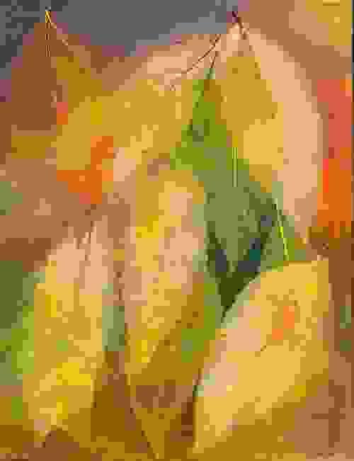 深秋之戀