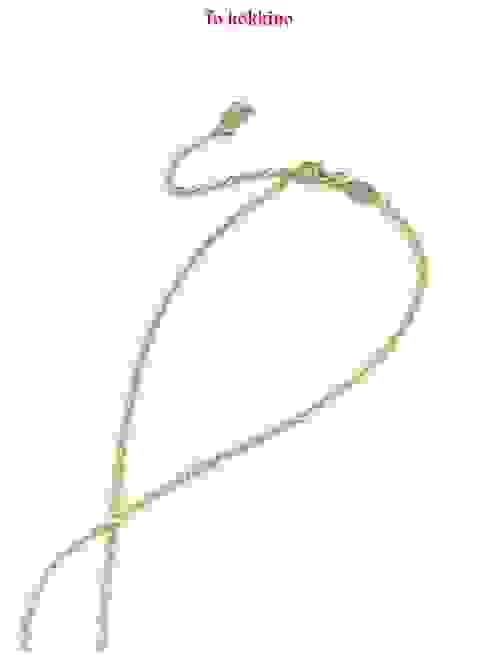 tokokkino* Double Heart Necklace