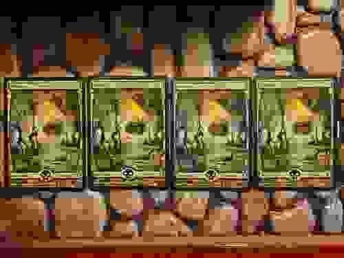*Basic Land Bundle* Swamp