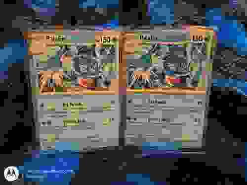 *Doubles* Palafin
