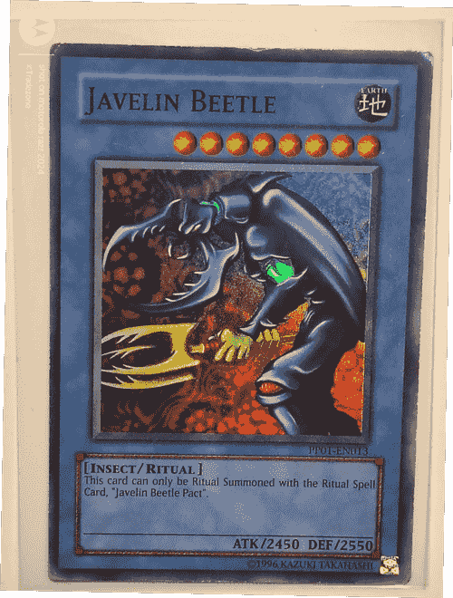 Javelin Beetle