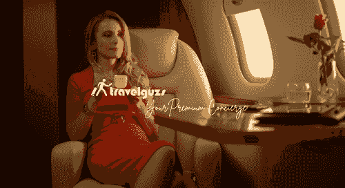 Build your US clientele with the help of Travelguzs