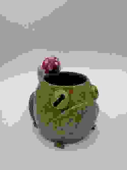 Sandy Sad Frog Mug