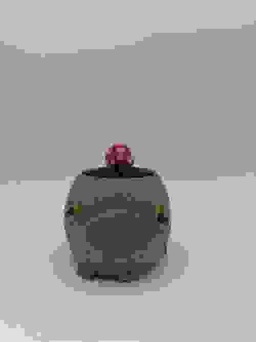 Sad Green Frog