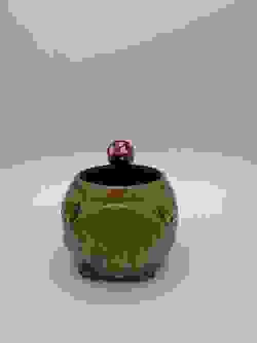 Angry Brown Frog