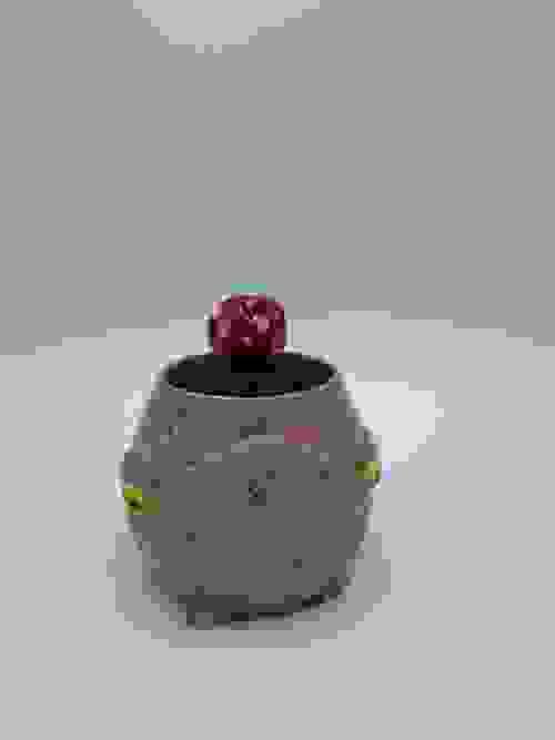 Disappointed Pink Frog