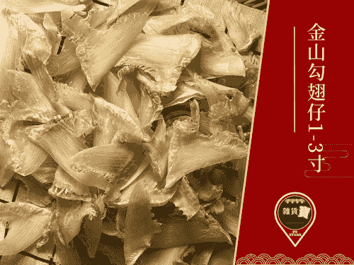 金山勾翅仔1-3寸