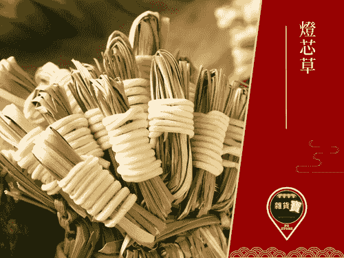 燈芯草