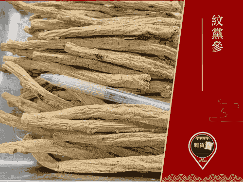 紋黨參