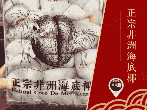 正宗非洲海底椰