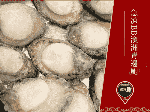 急凍BB澳洲青邊鮑