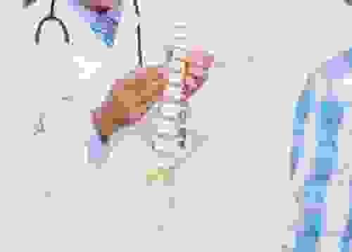 見脊醫初部檢查 Initial consultation