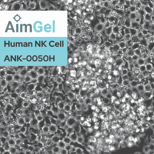 AimGel Human NK Cell Activator