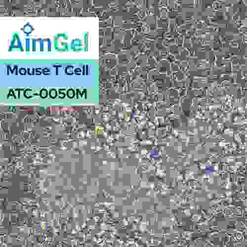AimGel Mouse T Cell Activator