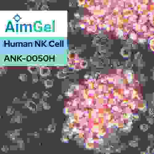 AimGel Human NK Cell Activator