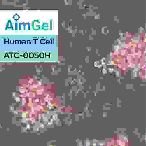 AimGel Human T Cell Activator