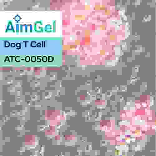 AimGel Dog T Cell Activator